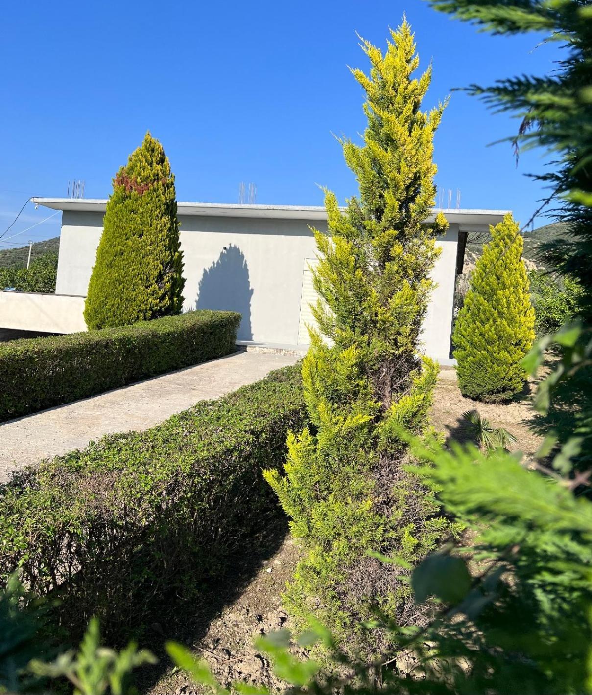 בית הארחה בראט 	A&A House מראה חיצוני תמונה